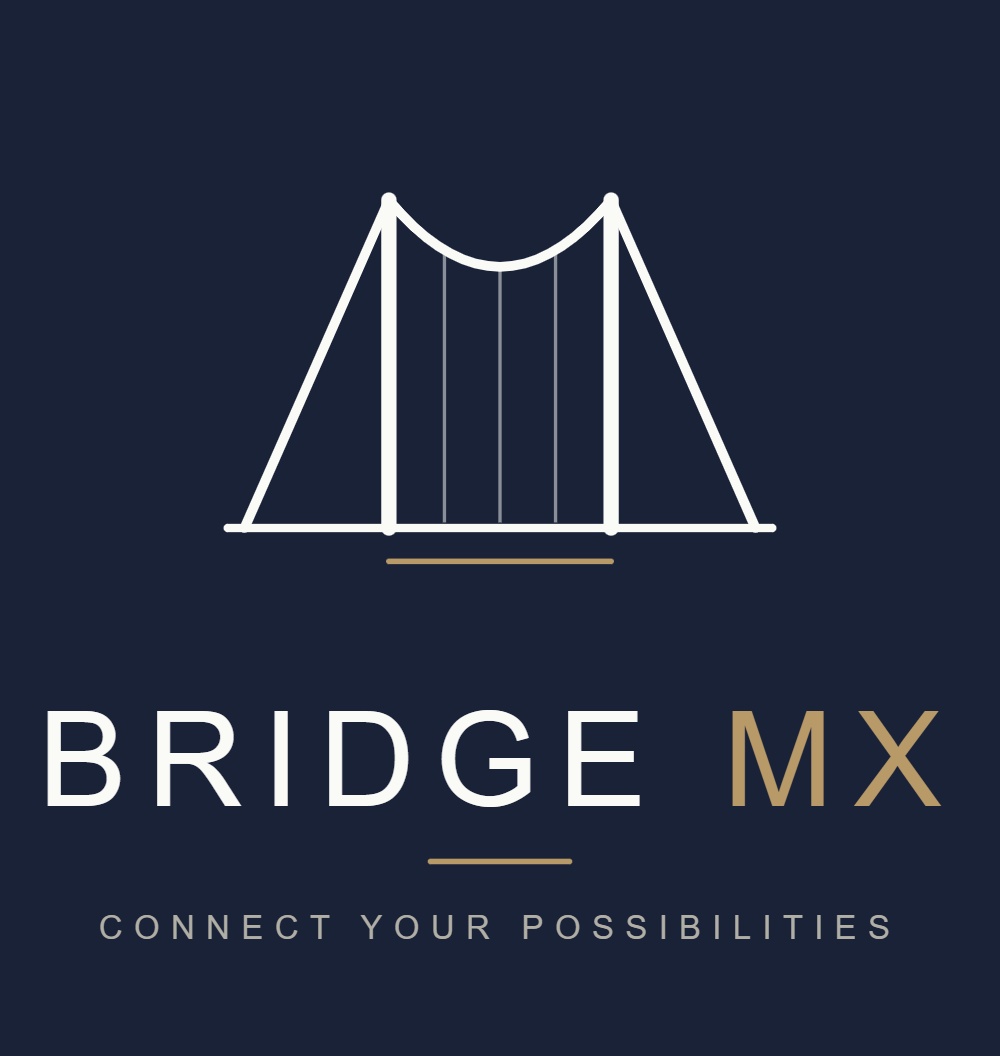 Bridge MX